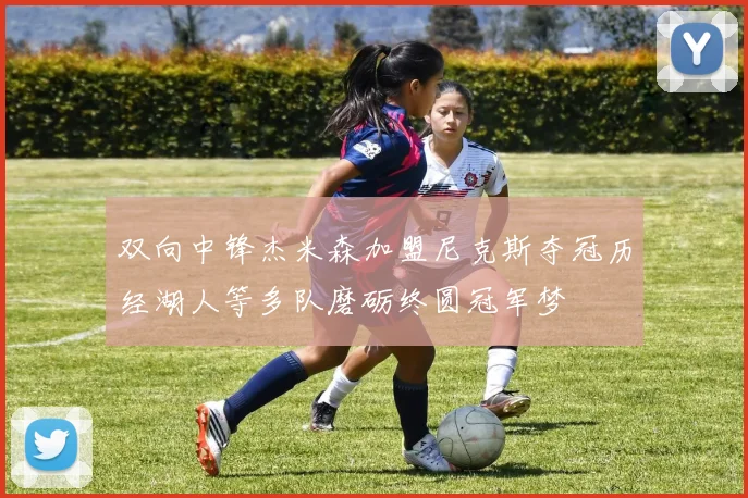 双向中锋杰米森加盟尼克斯夺冠历经湖人等多队磨砺终圆冠军梦